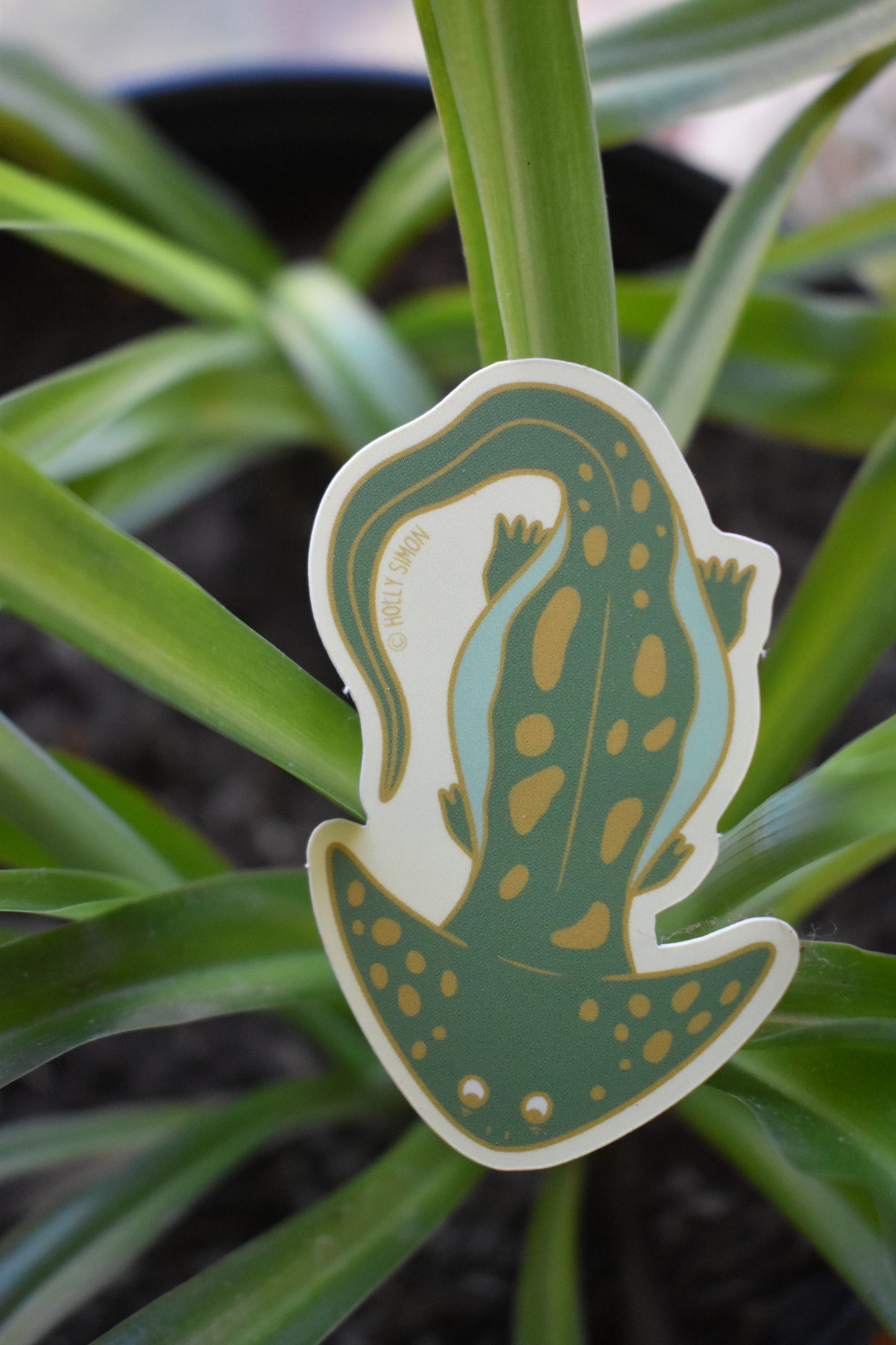 Green & Gold Diplocaulus Sticker