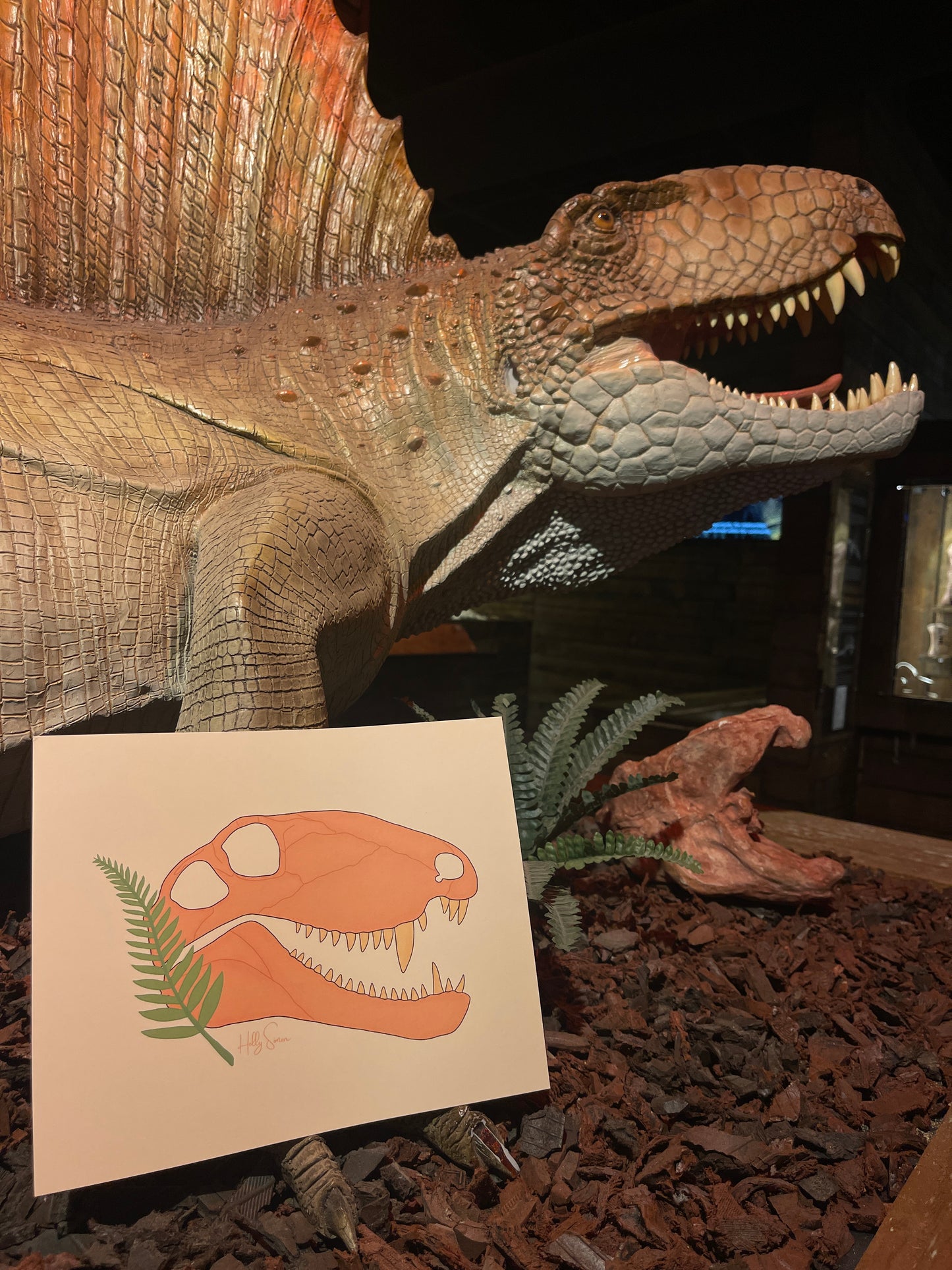 Dimetrodon Skull 10"x8" Print