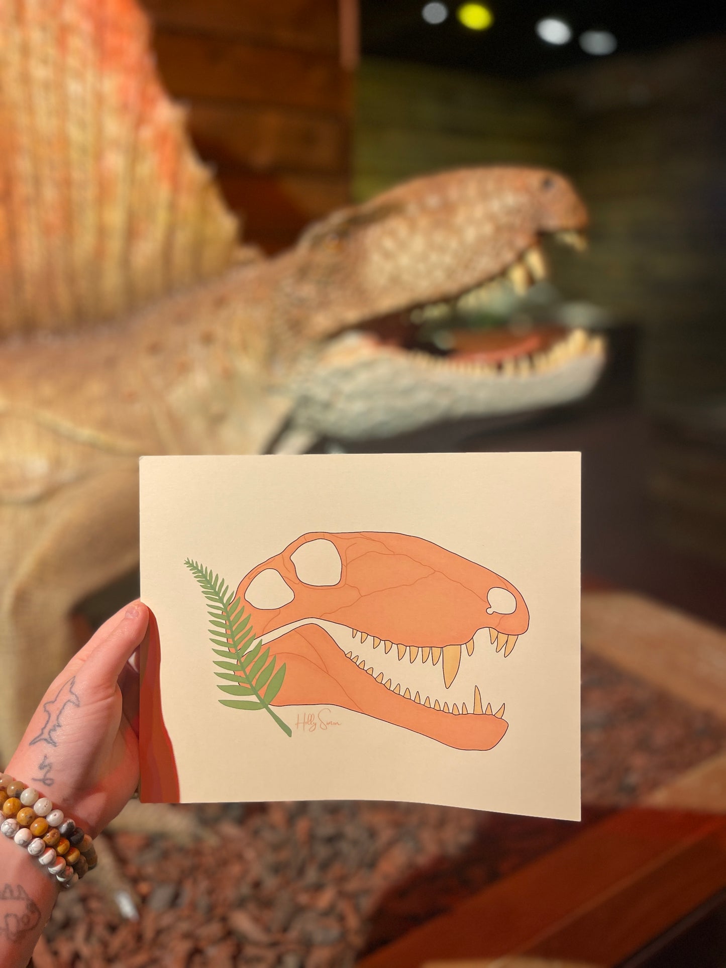 Dimetrodon Skull 10"x8" Print
