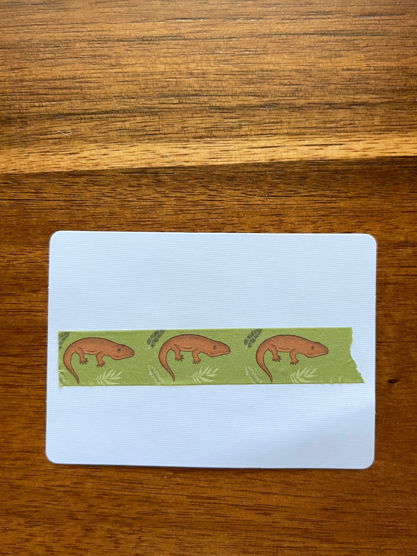 Seymouria Washi Tape