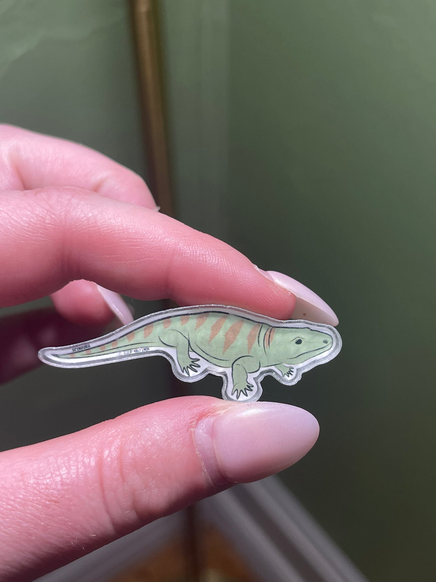 Seymouria Acrylic Pin