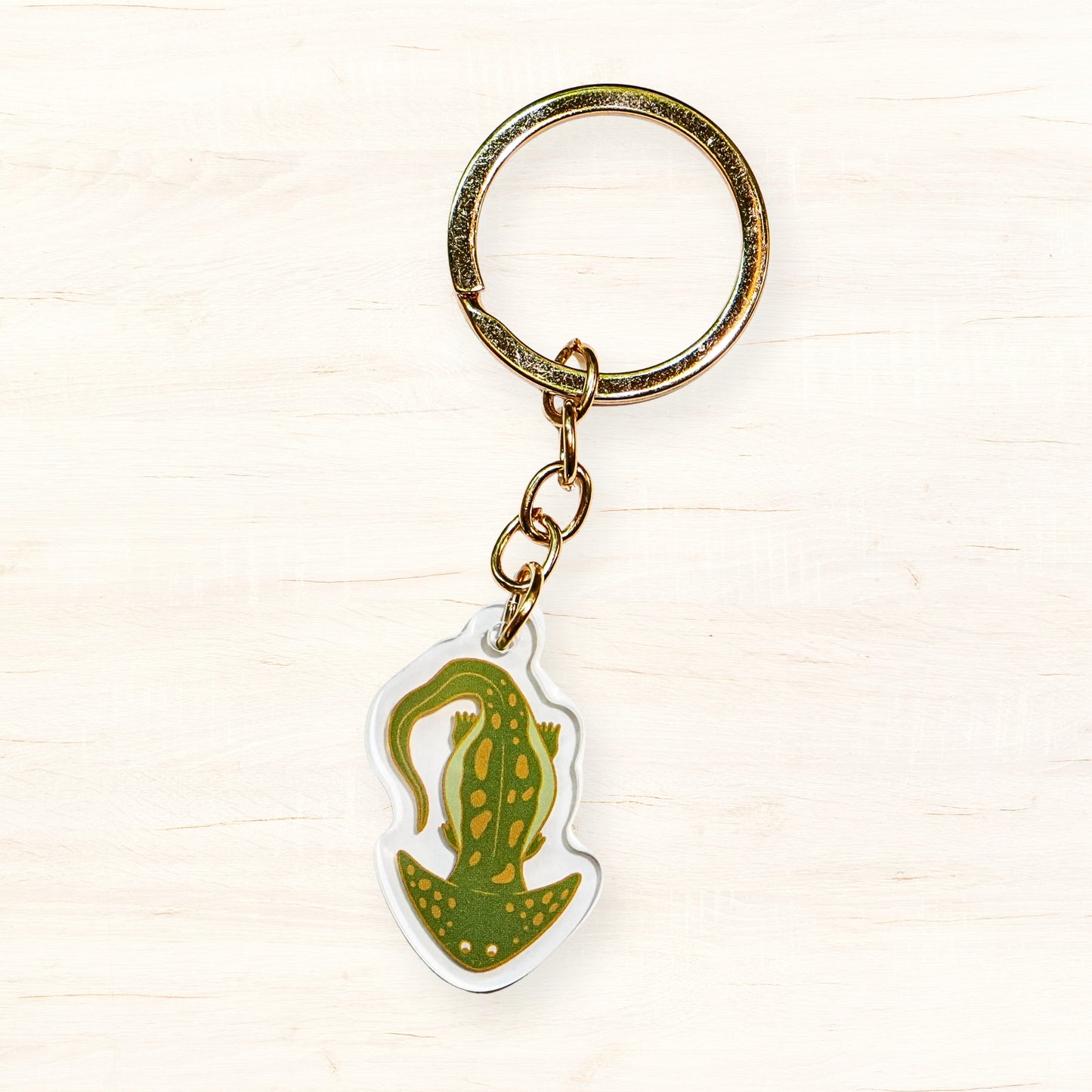 Diplocaulus Acrylic Keychains