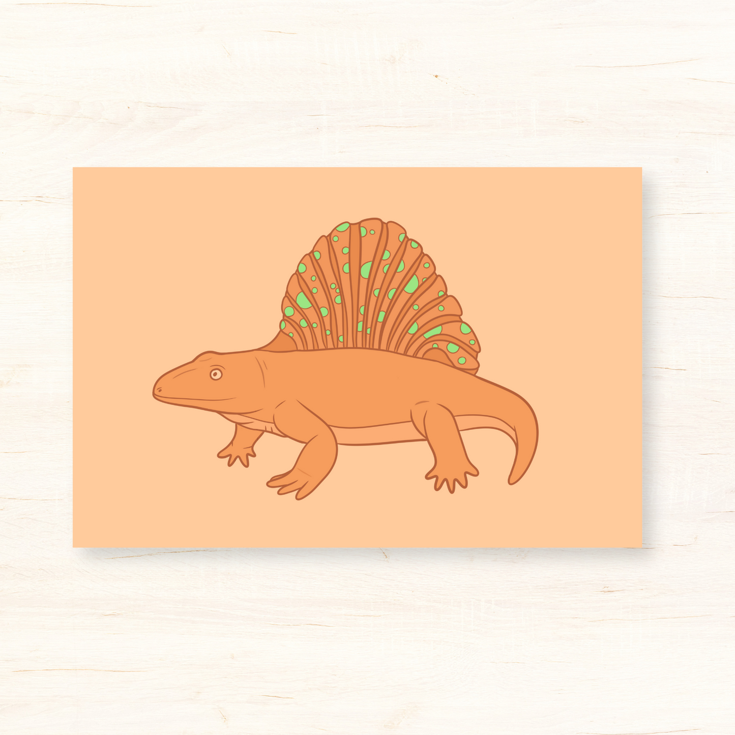 Platyhystrix Postcard