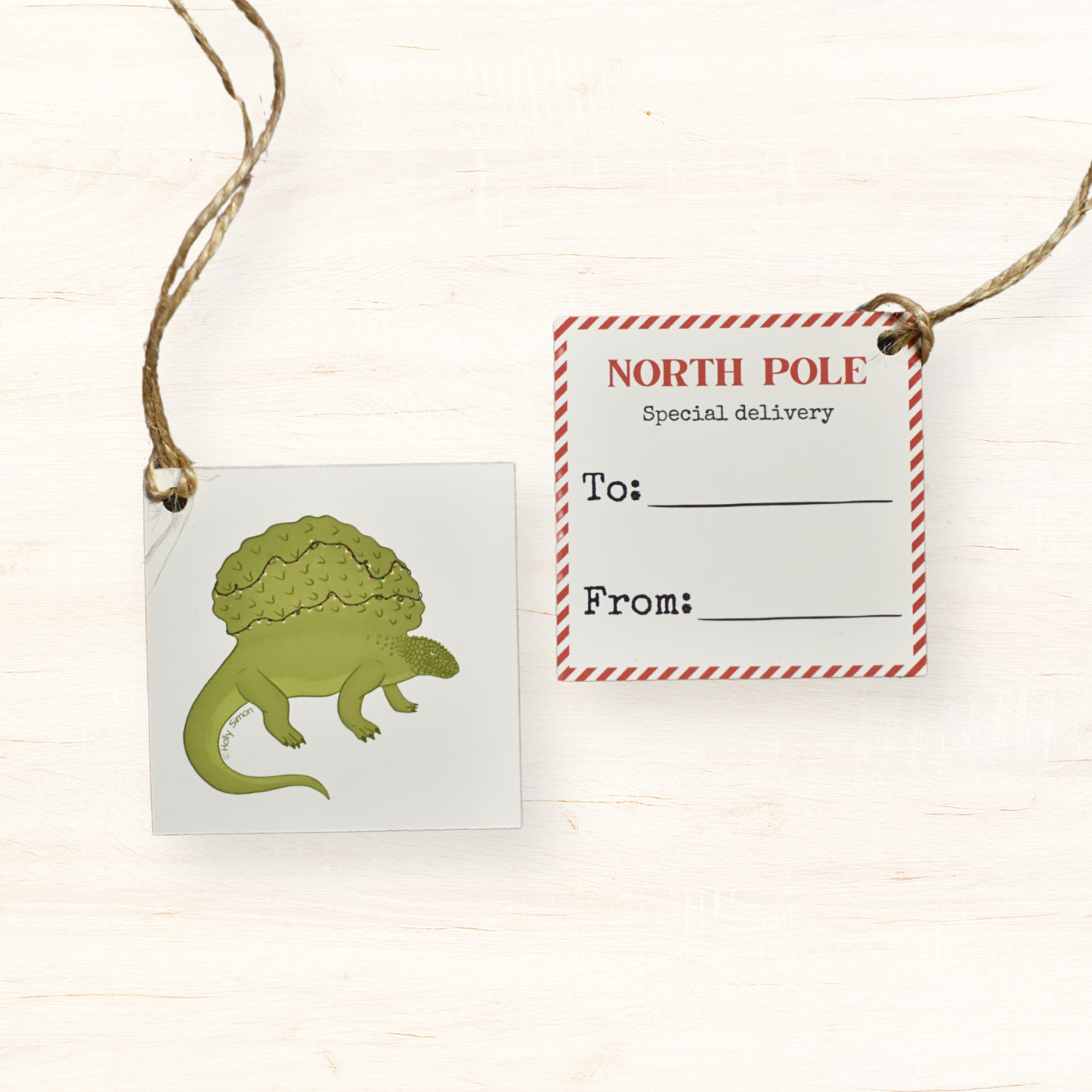 Present Tie Tag: Edaphosaurus